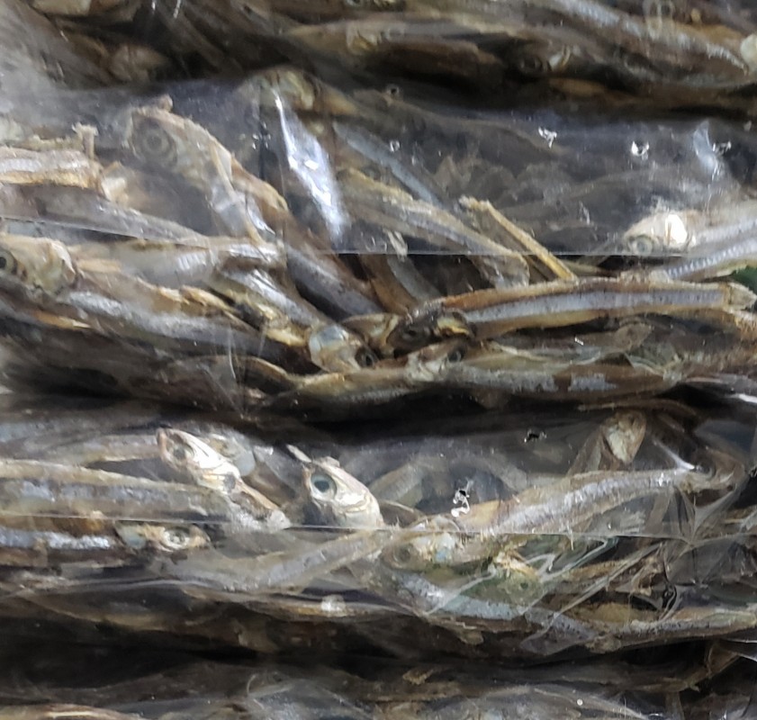 Dry fish from United Arab Emirates (UAE)