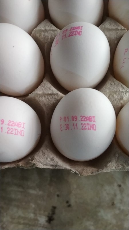 eggs from Emirati Arabi Uniti