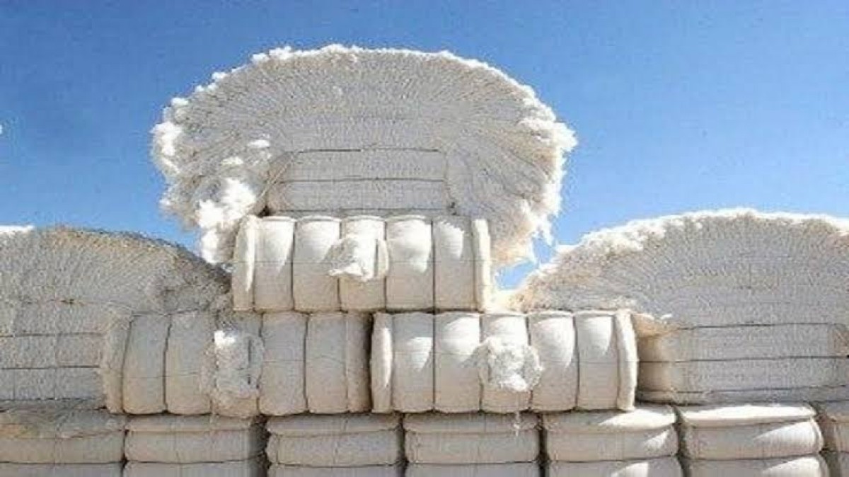 Cotton from Afghanistan