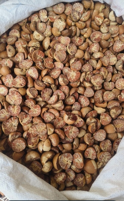 Bettelnuts from Angola