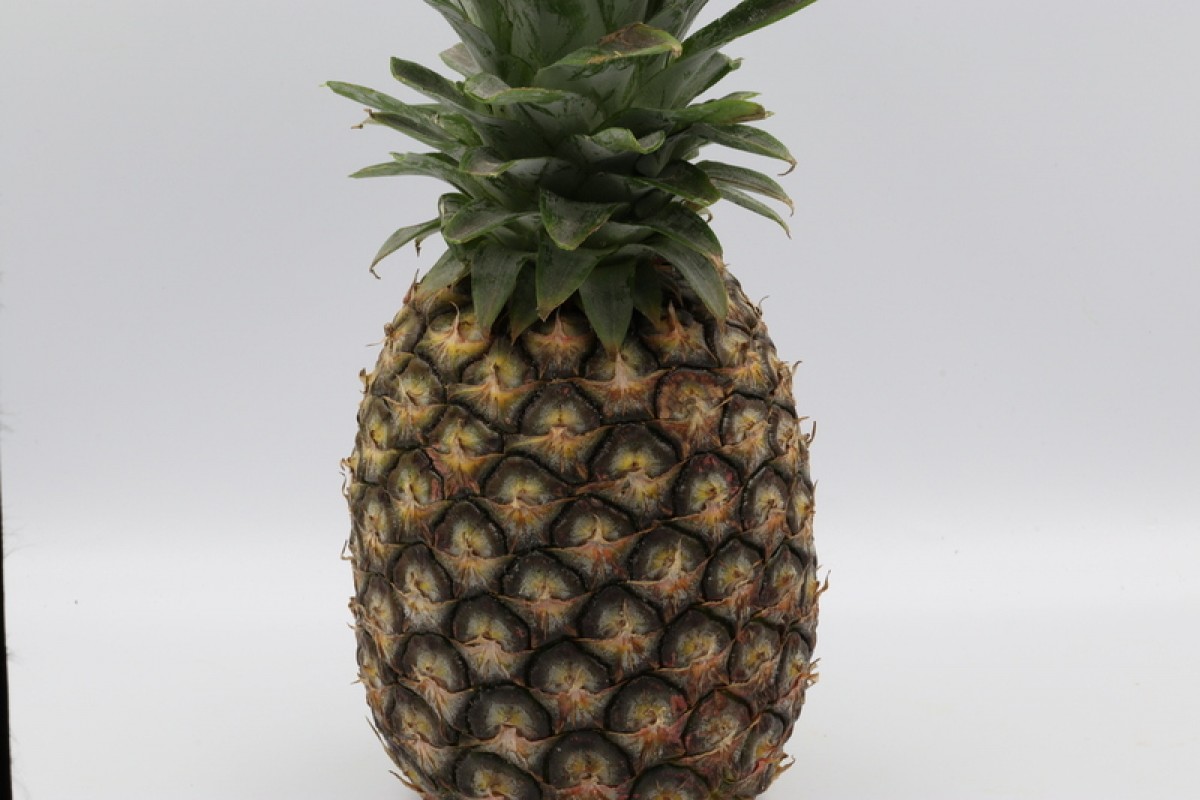 MD2 Ananas from Angola