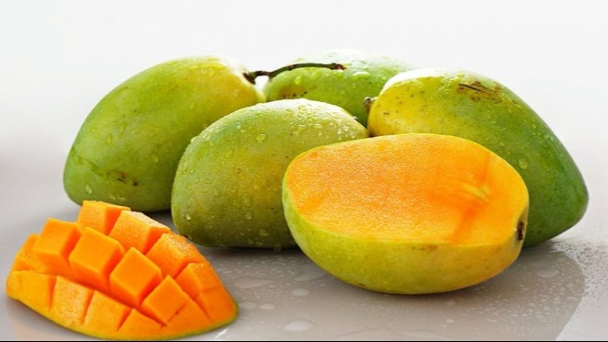 Fresh Mangoes - Juicy,Sweet,Premium Quality! from Angola