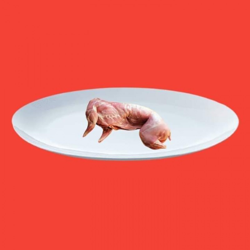 white meat off Bangladesh from Bangladesh