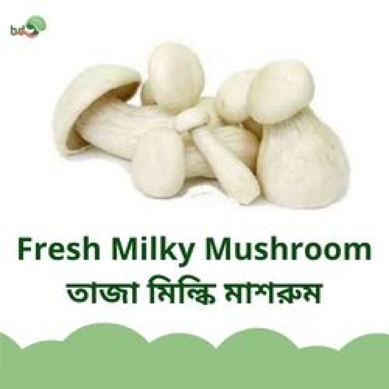 Milky Mushroom from Bangladesh