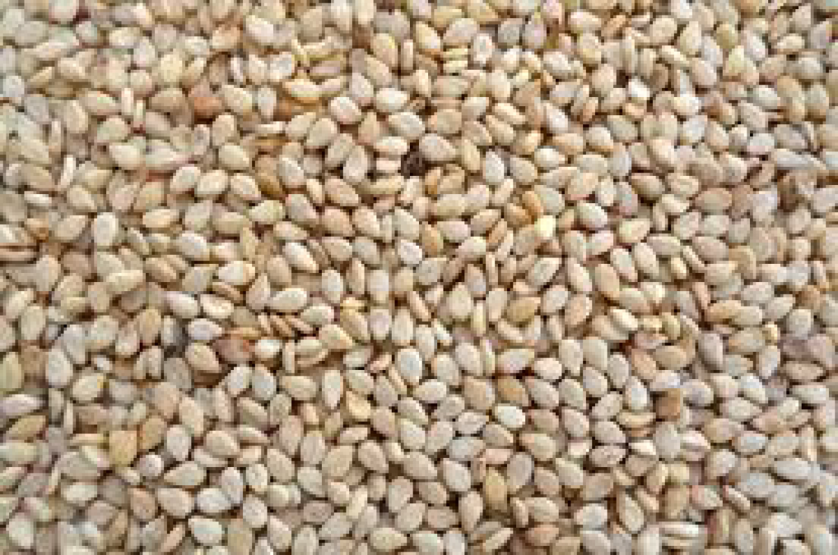 Sesame Seeds from Burkina Faso