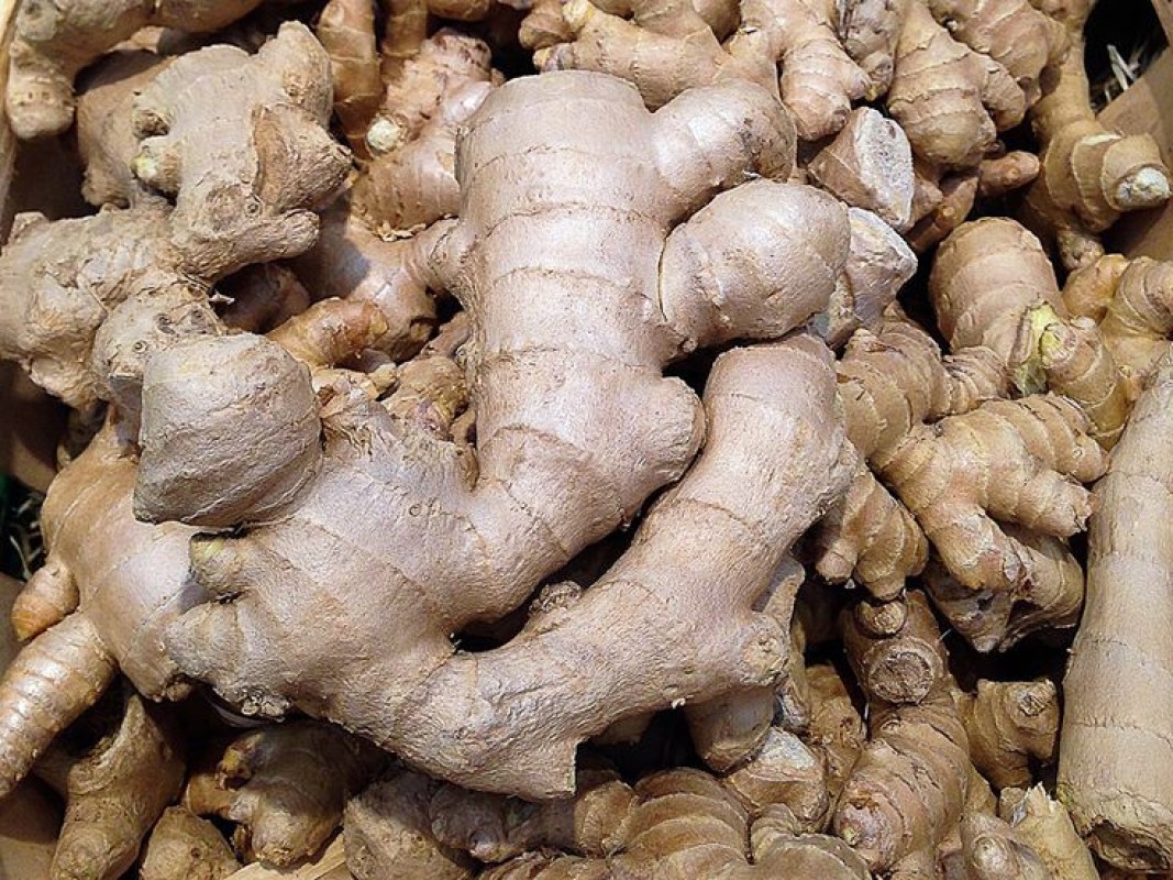 Jahe from Benin