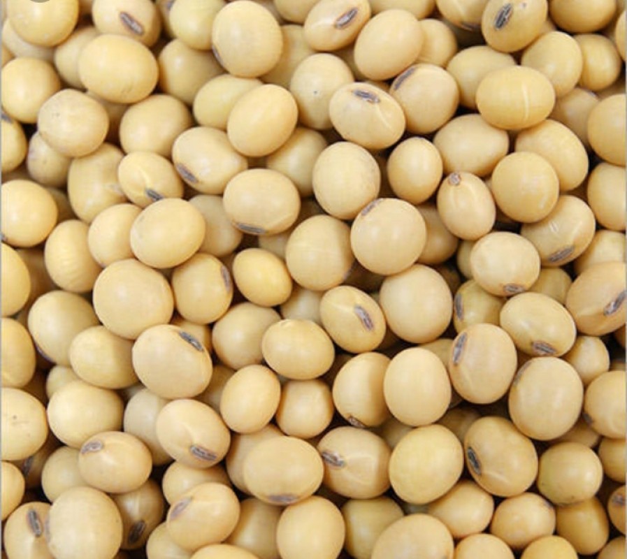 SOYABEAN OFFER from Benin