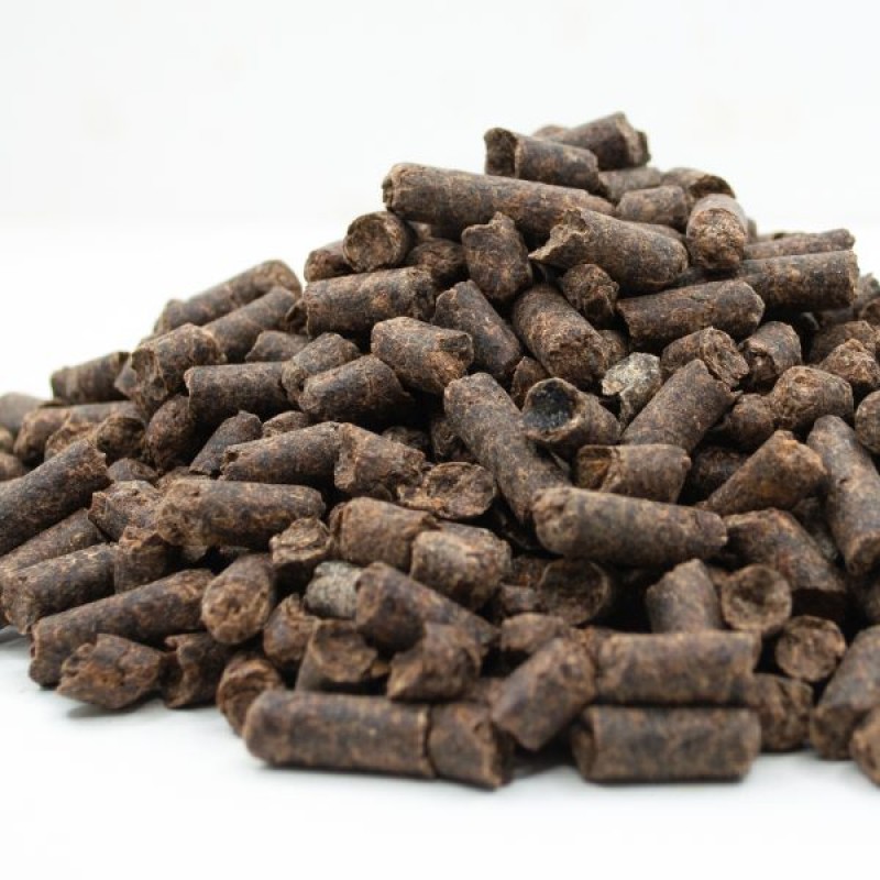 Dry beet pulp GMP+ UNMOLASSED from Belarus