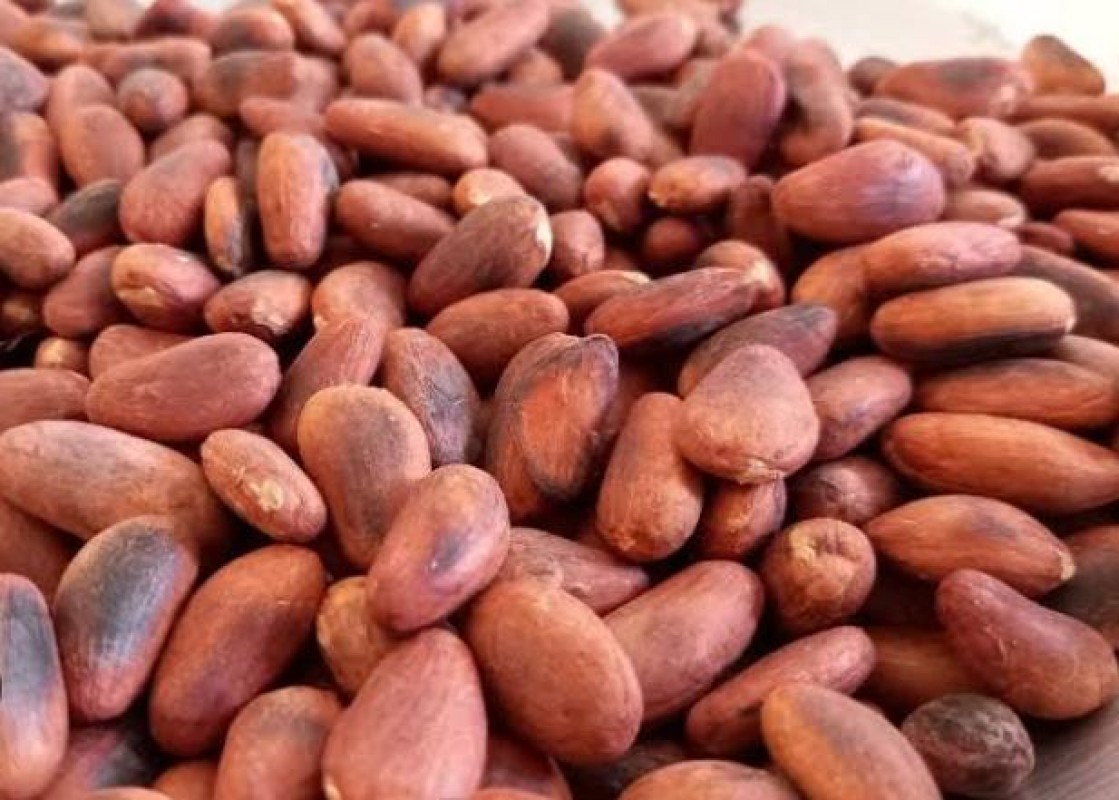 Cocoa beans from Uganda