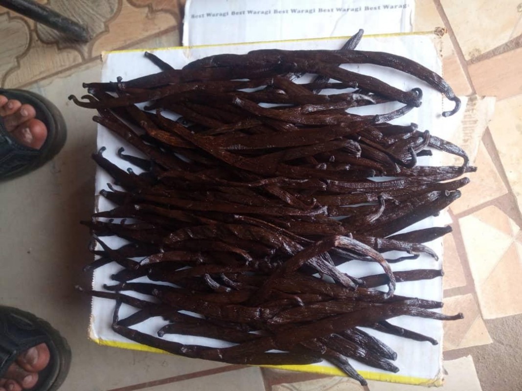 Vanilla from República Democrática del Congo