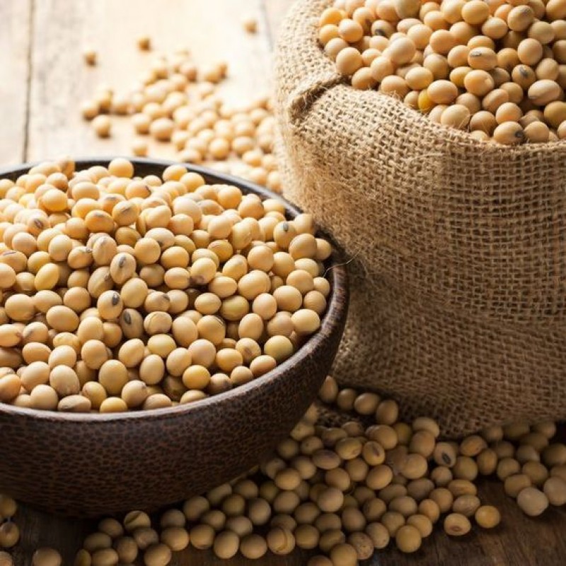 Rich Soybeans From Chile from Chile