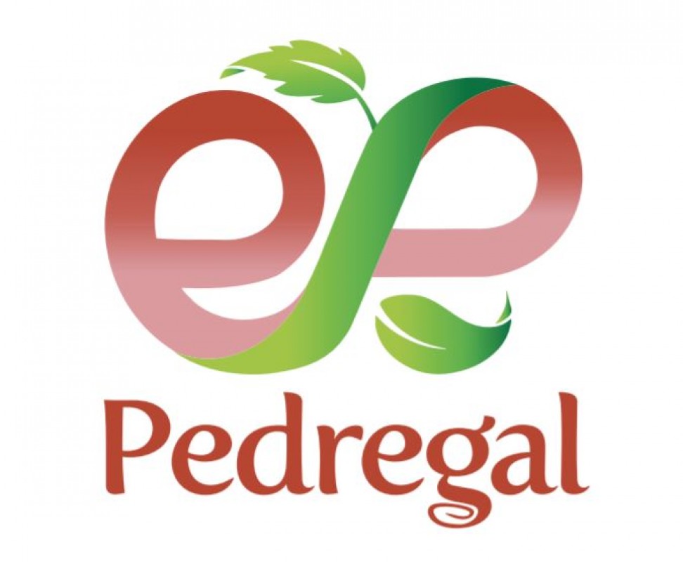 Exportadora Pedregal from Chile