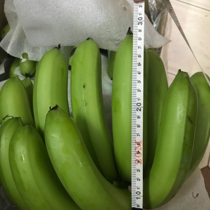 Cavendish Banana from Cameroon