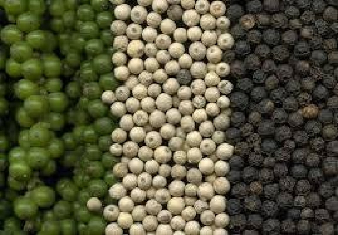 Pepper from Cameroon
