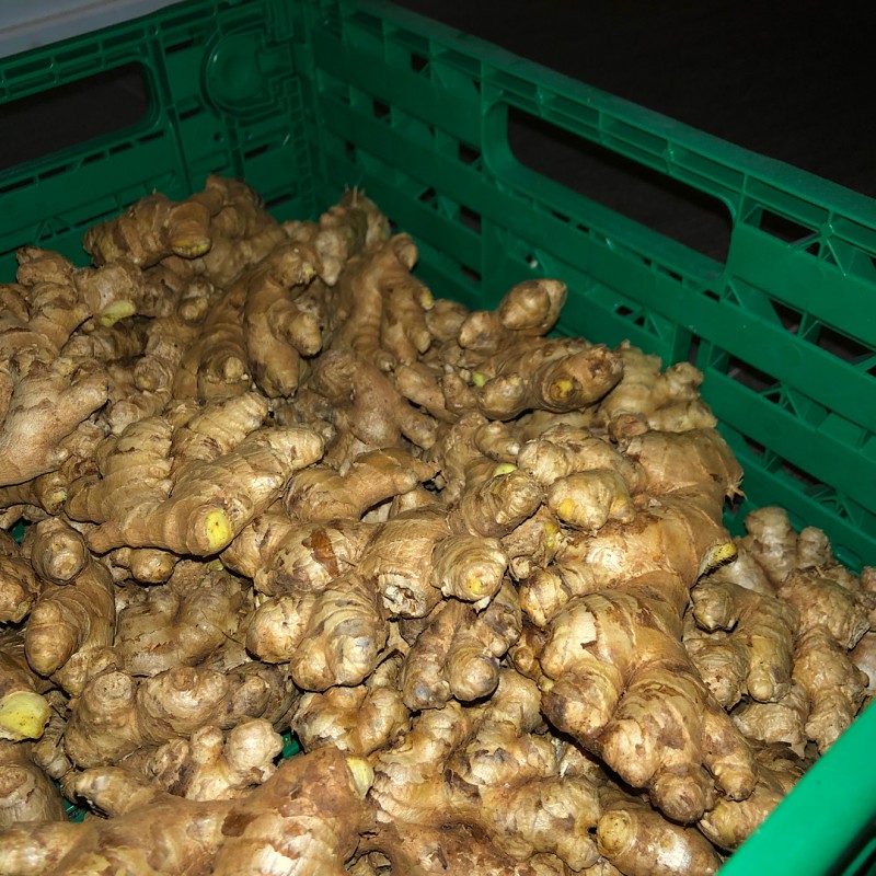 Fresh Ginger from Cameroon