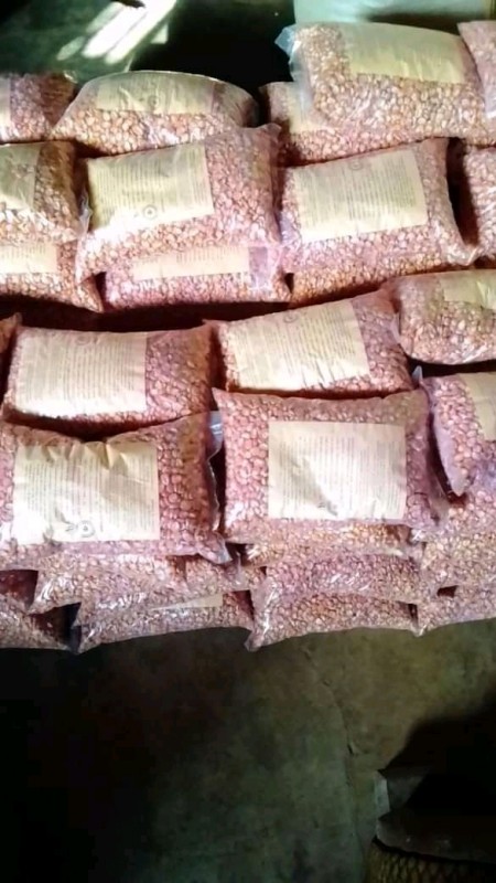 Improved maize seeds from Camerun