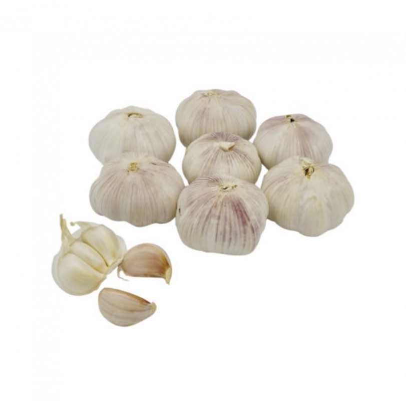 Fresh White Garlic from China