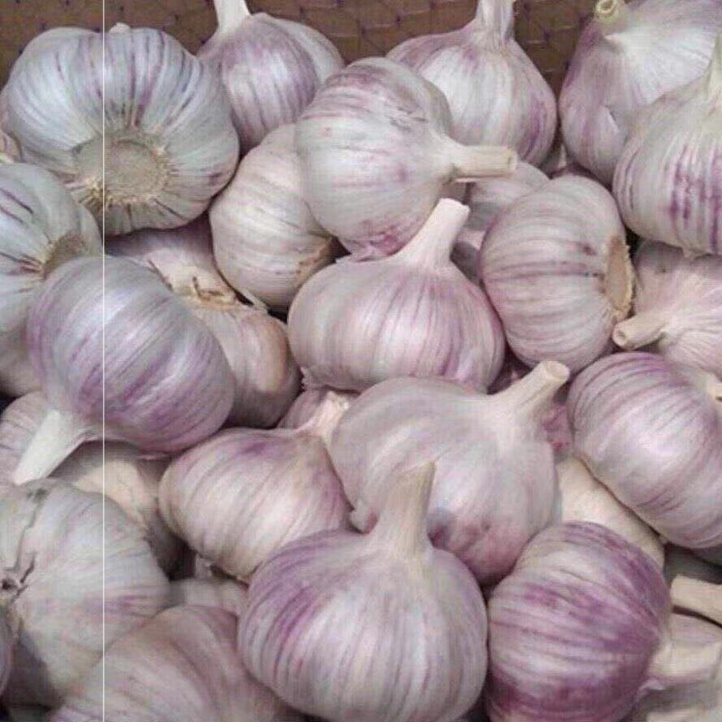 Garlic from China