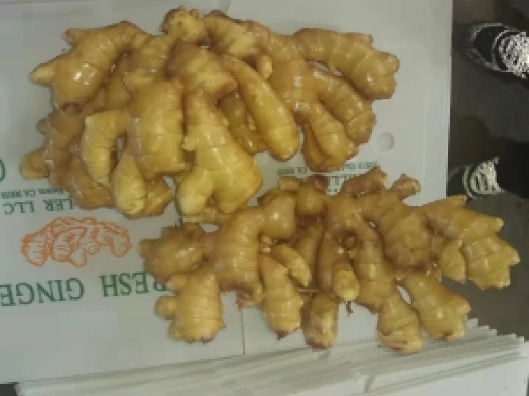 Fresh Ginger from China