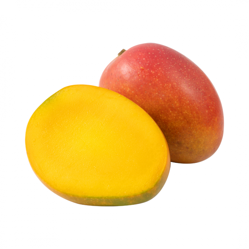 MANGO PULP from Dominican Republic