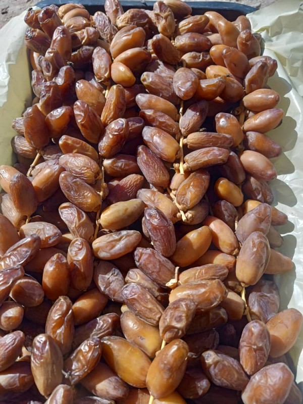 Dates from Algeria