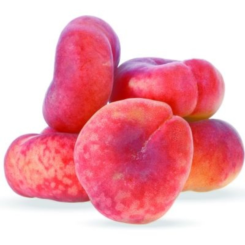 Nectarine et peche plate a chair blanche from Algeria