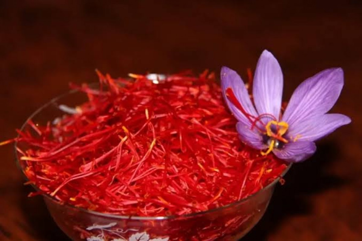 Saffron Algeria from Algeria