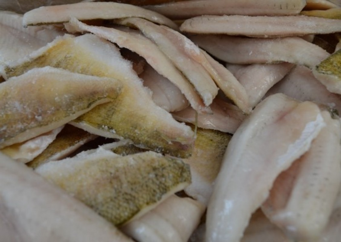 Yellow Perch Fillet from Estonia