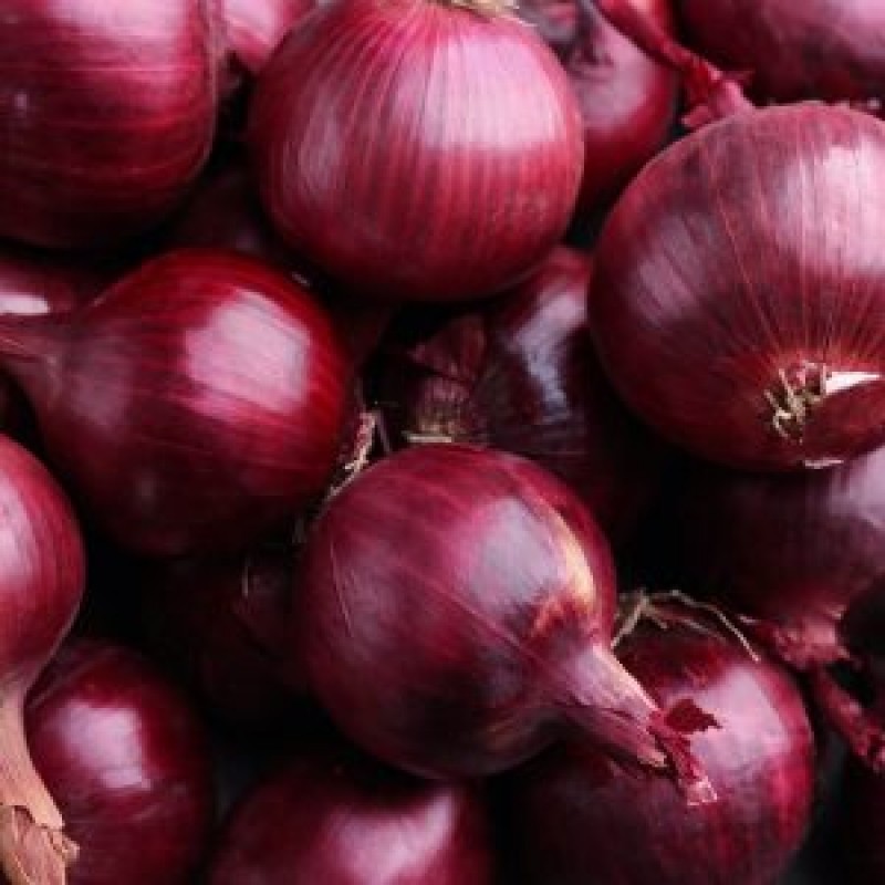 red onions from Egypt from Egypt