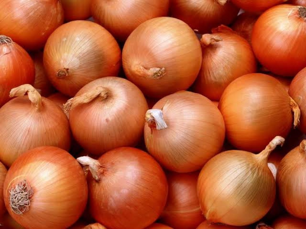 Onions from Egypt