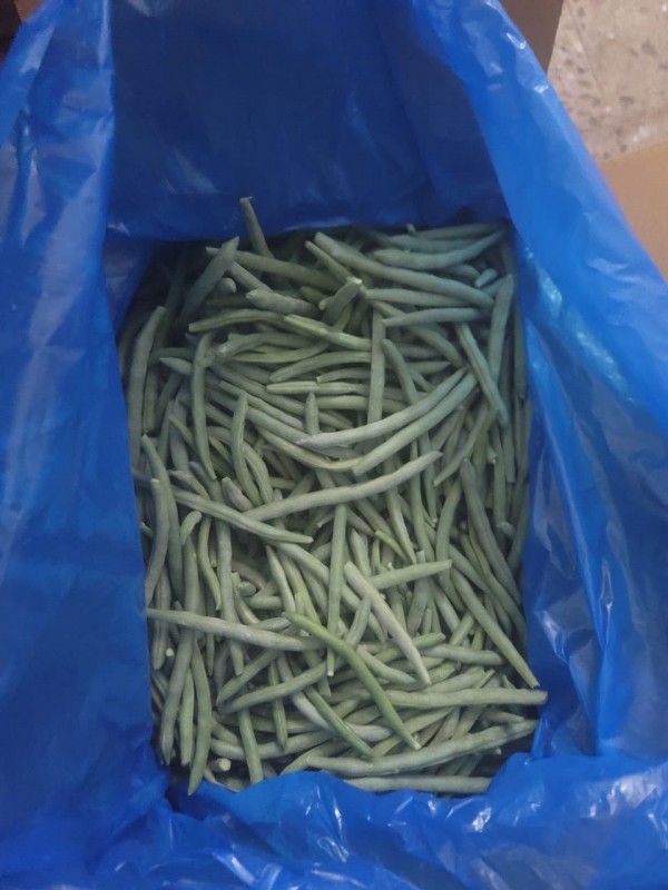 Green beans from Egypt