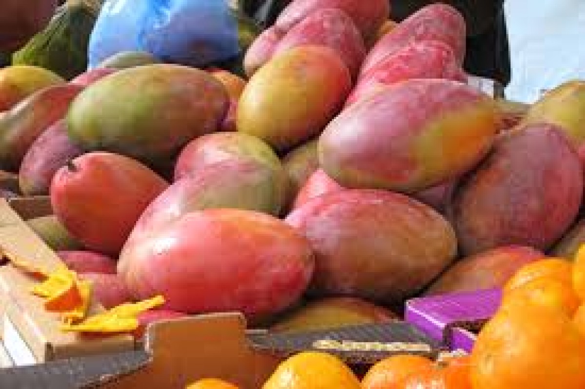 Mango from Egypt