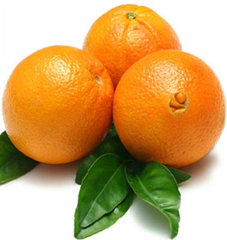 Egyptian navel orange from Egypt