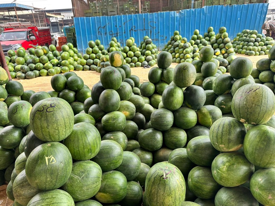 Melancia Egito from Egito