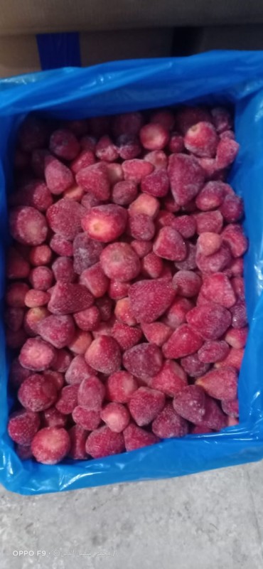 Frozen strawberry from Egypt
