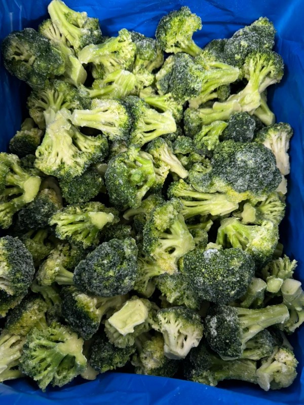 Frozen broccoli from Egypt