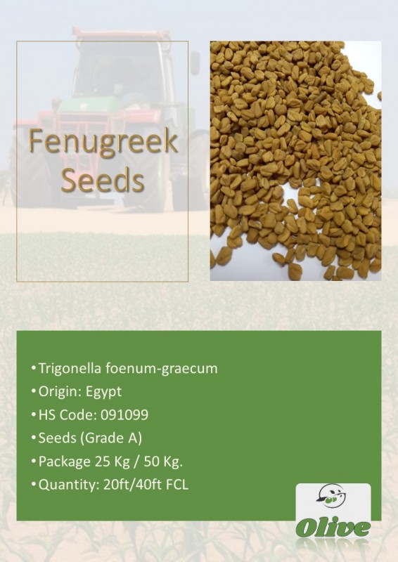 Fenugreek seeds from Egitto