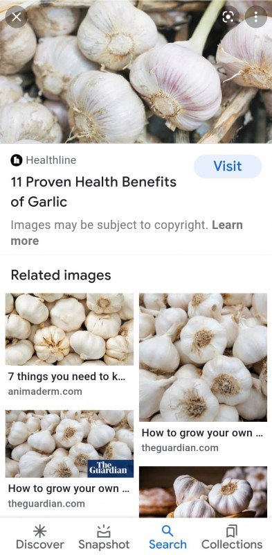 Garlic from Ethiopia