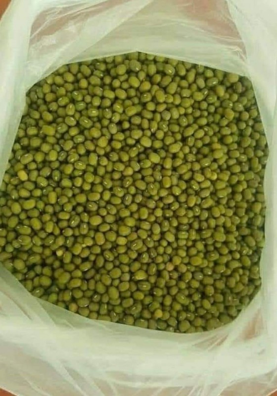 Green Mung Bean from Ethiopia
