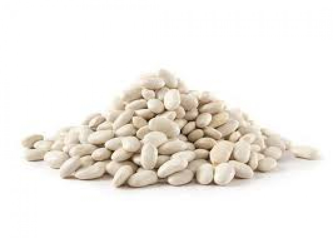 White Pea Bean from Ethiopia