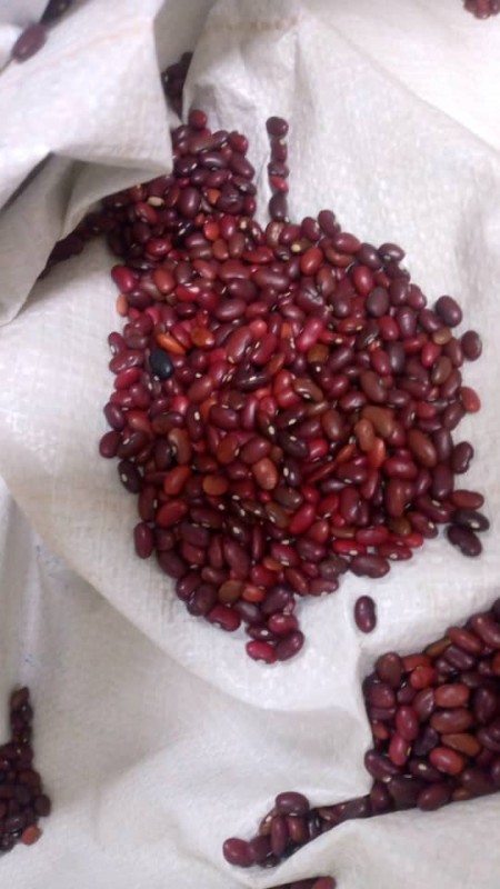 Haricots rouges from Éthiopie