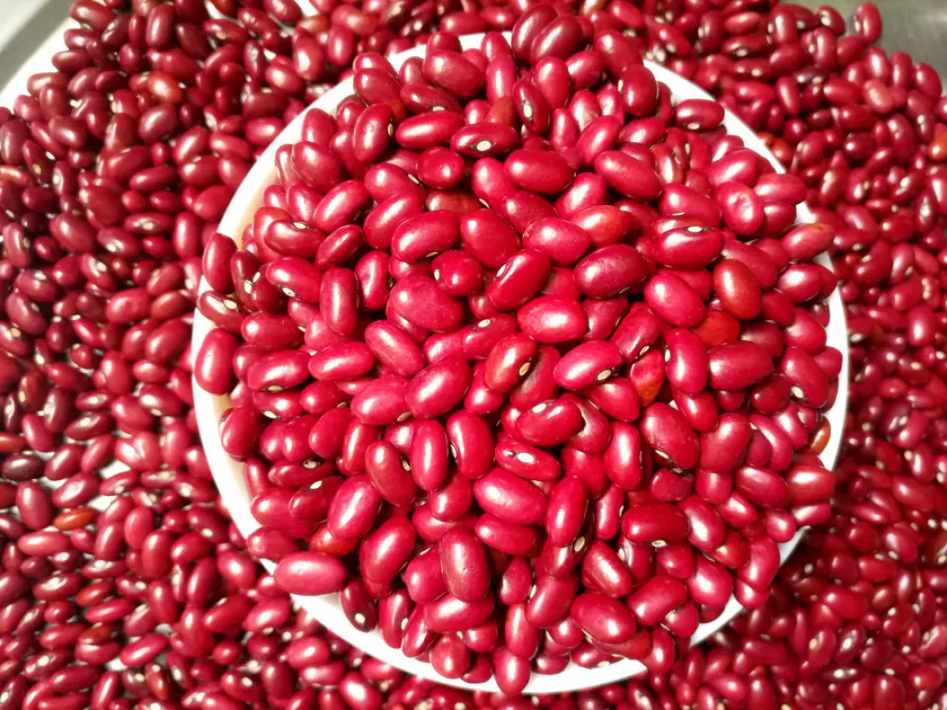 Red kidney beans from Ethiopia