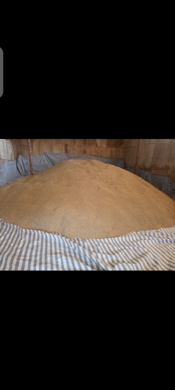 Washed QA 1 coffee from Etiopia
