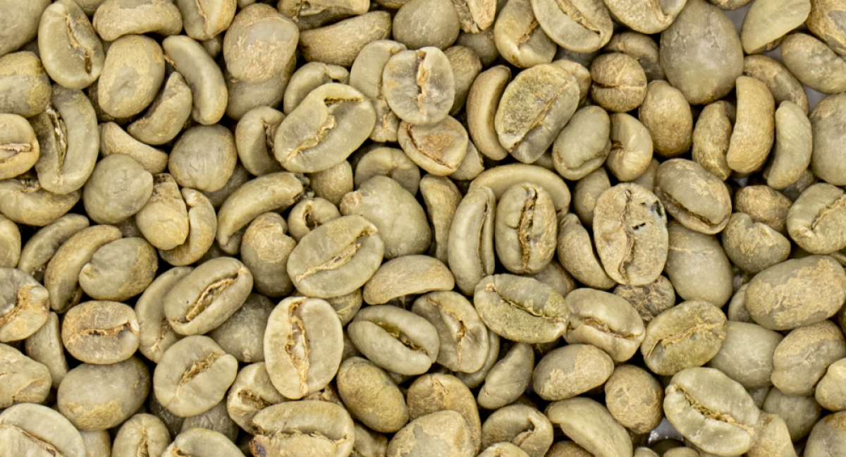 Organic Yirgachefe green beans coffee grade 1 from Etiopia