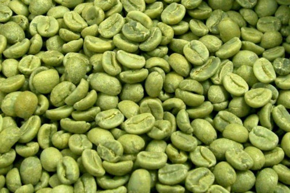 Washed Ethiopian Green Organic Arabica Coffee from Ethiopia
