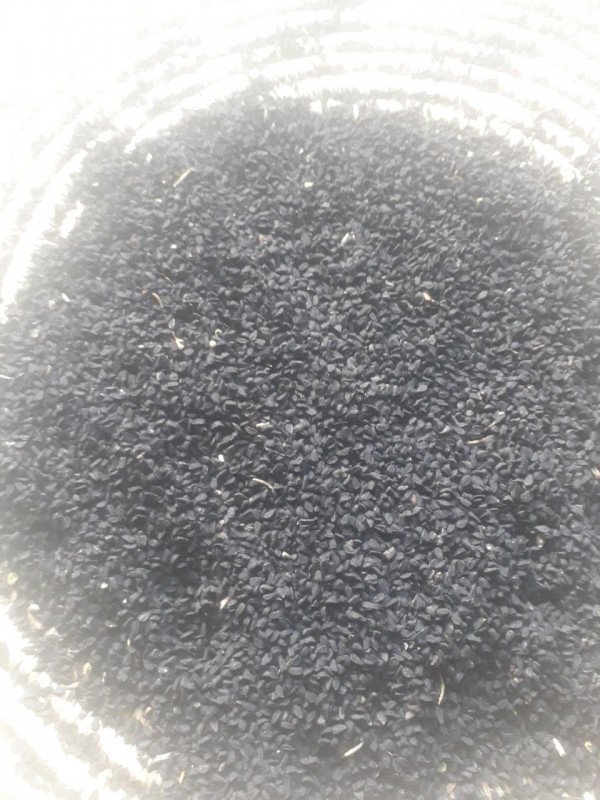 Cominho preto from Etiópia