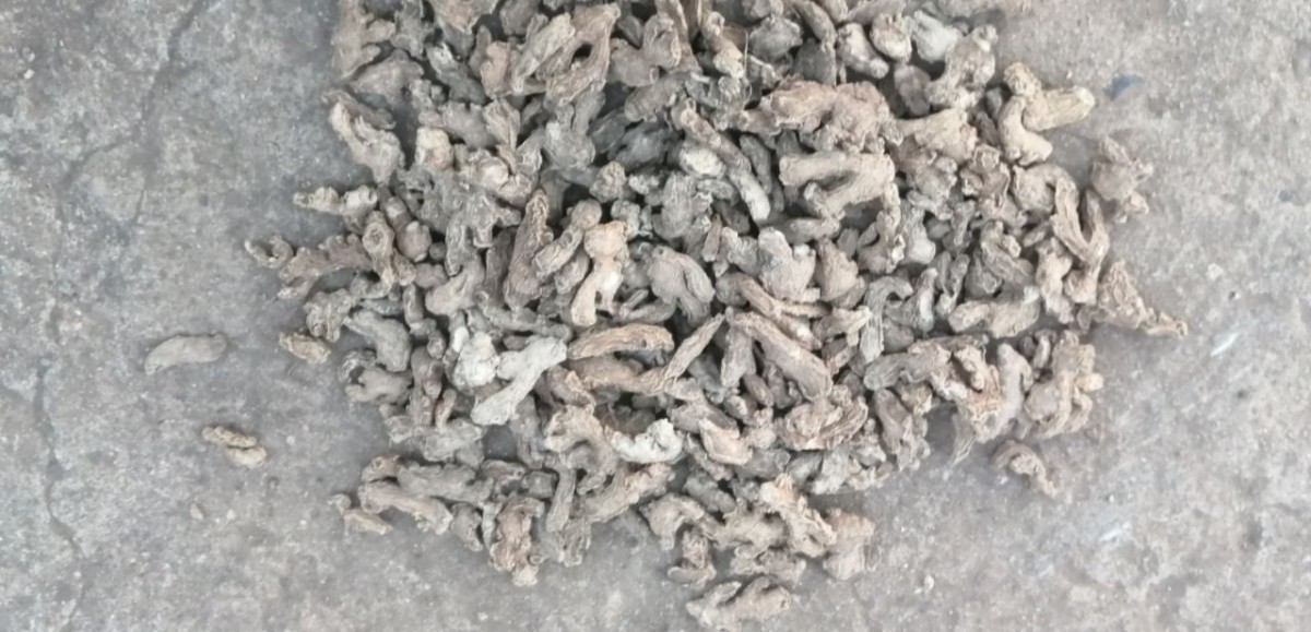 Sun dried ginger from Ethiopia
