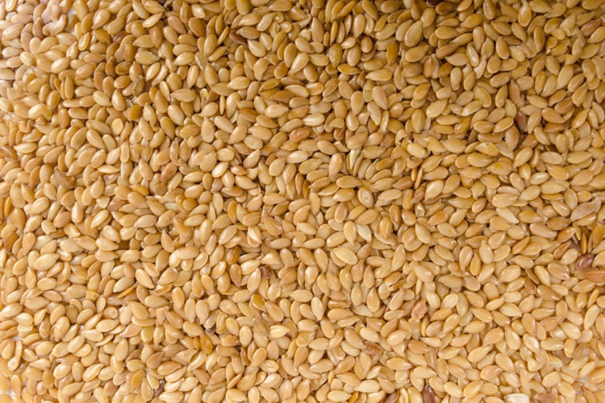 Sesame seeds from Ethiopia