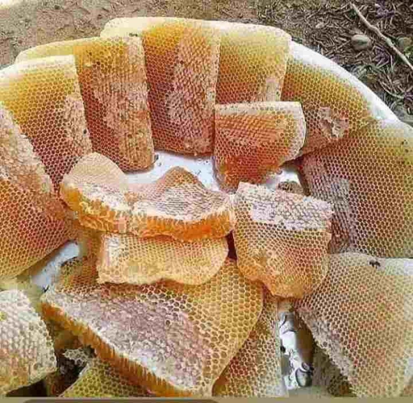 Honey from Ethiopia