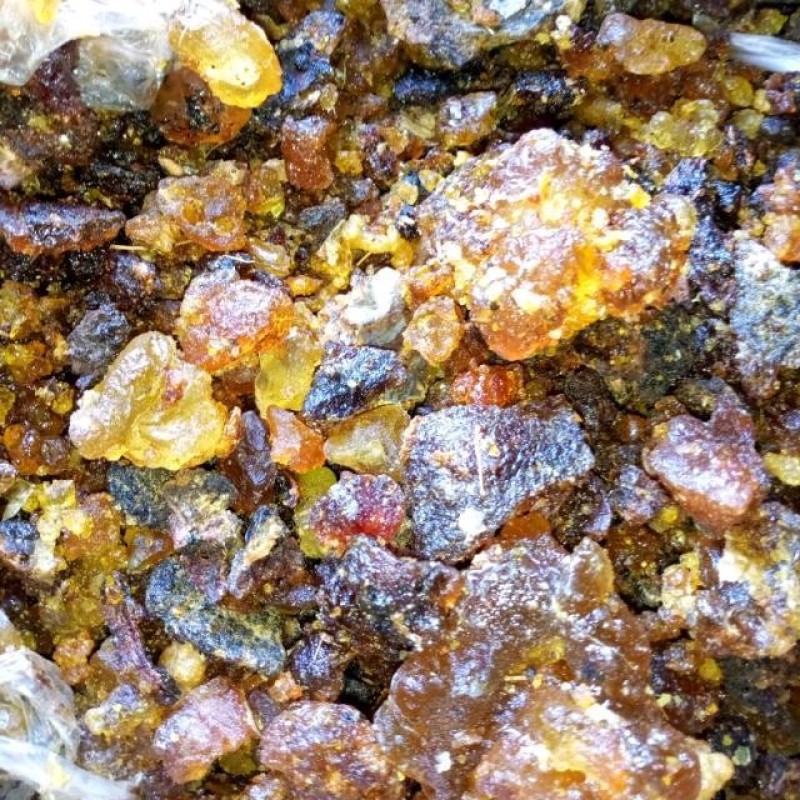 Luban from Ethiopia